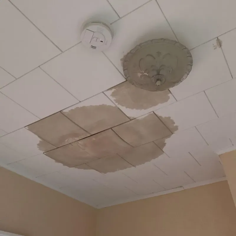 Ceiling Water Damage Repair in Upper Grand Lagoon, FL